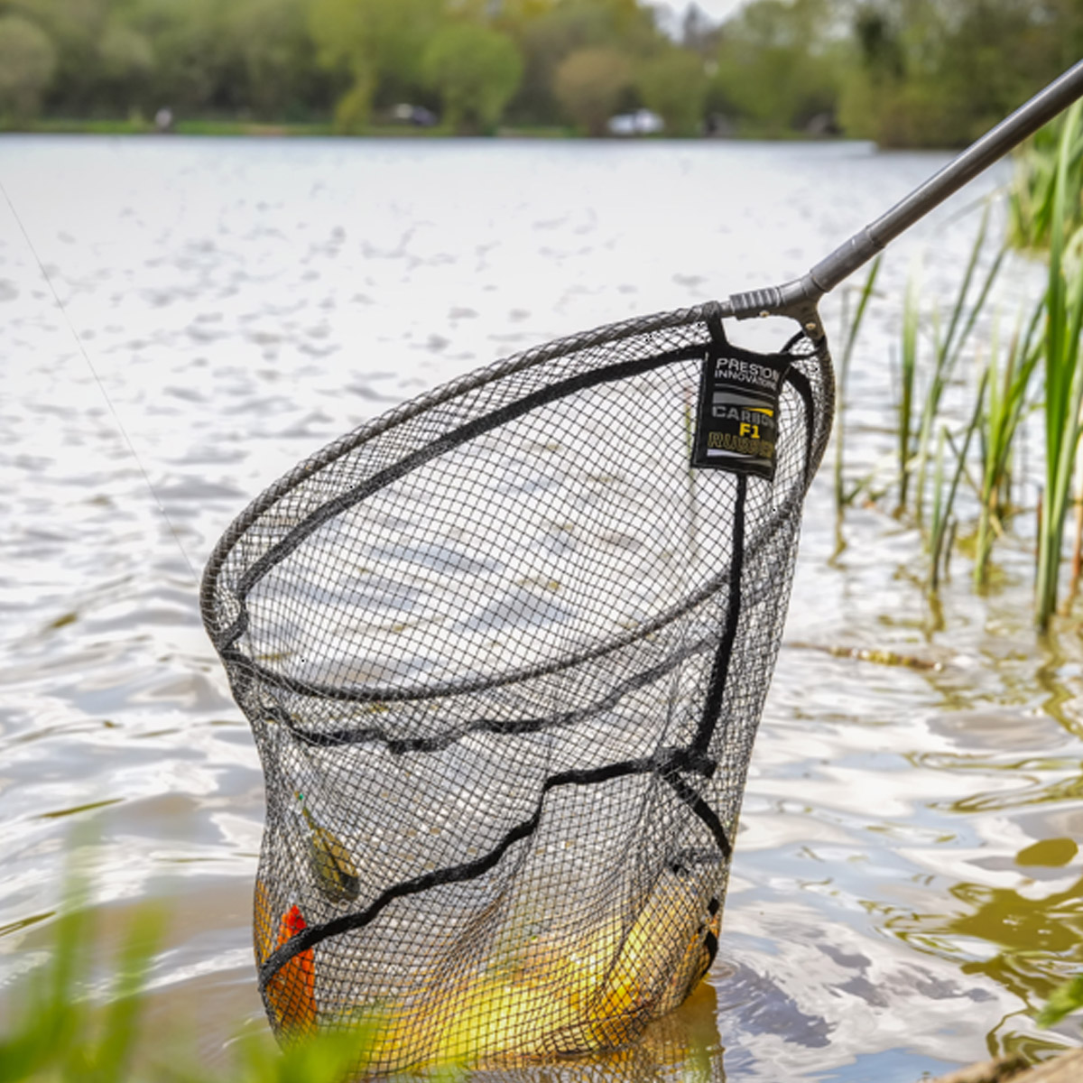 Preston Innovations Carbon F1 Latex Landing Net 16"