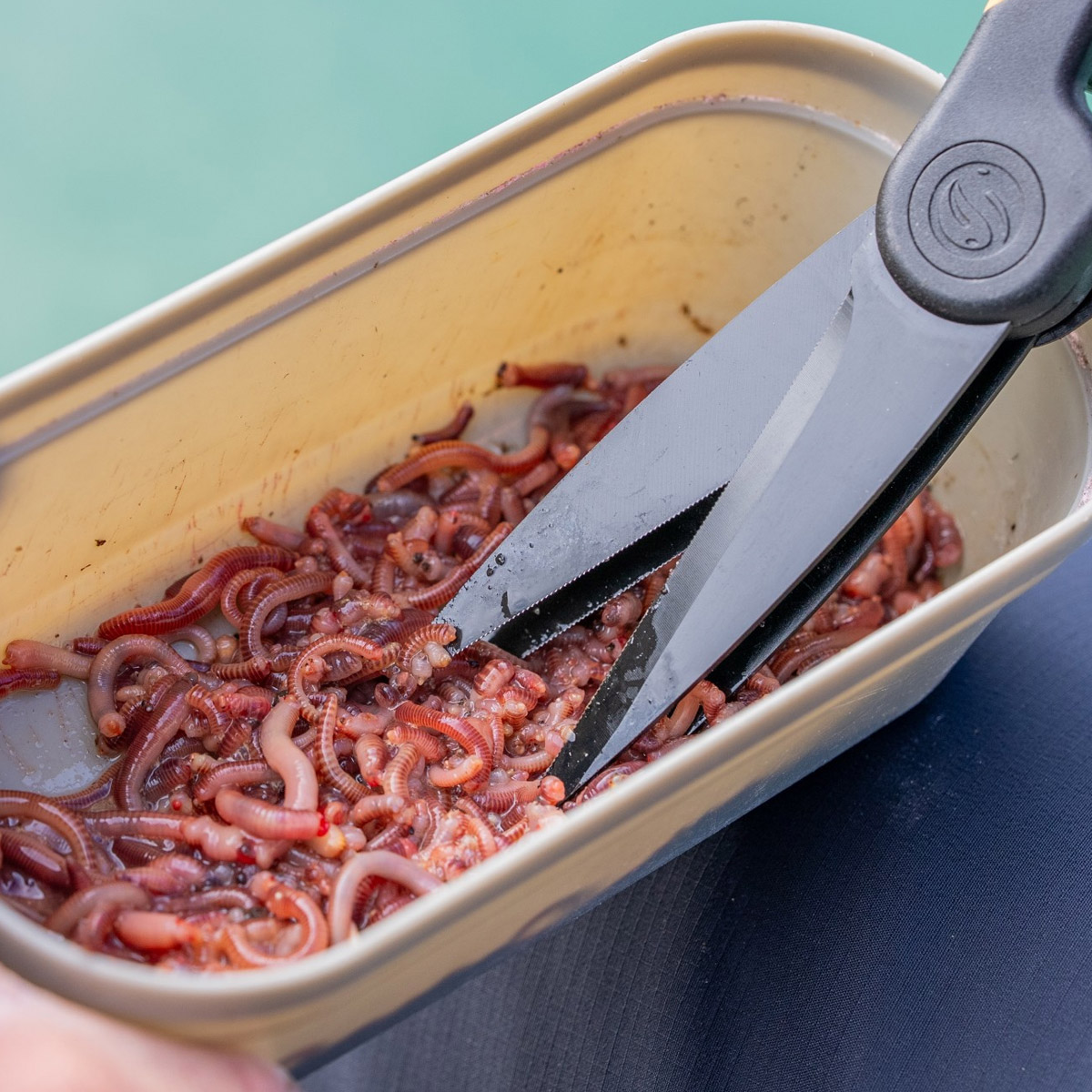 Guru Worm Scissors