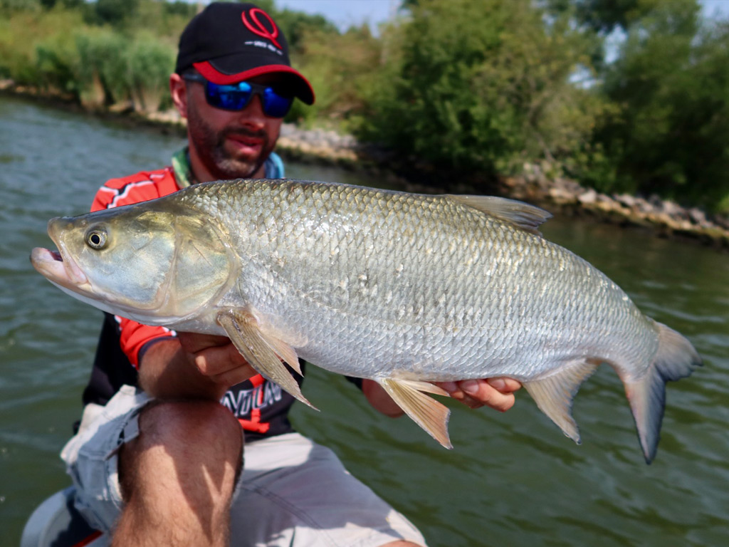 Roofblei vangen met een crankbait