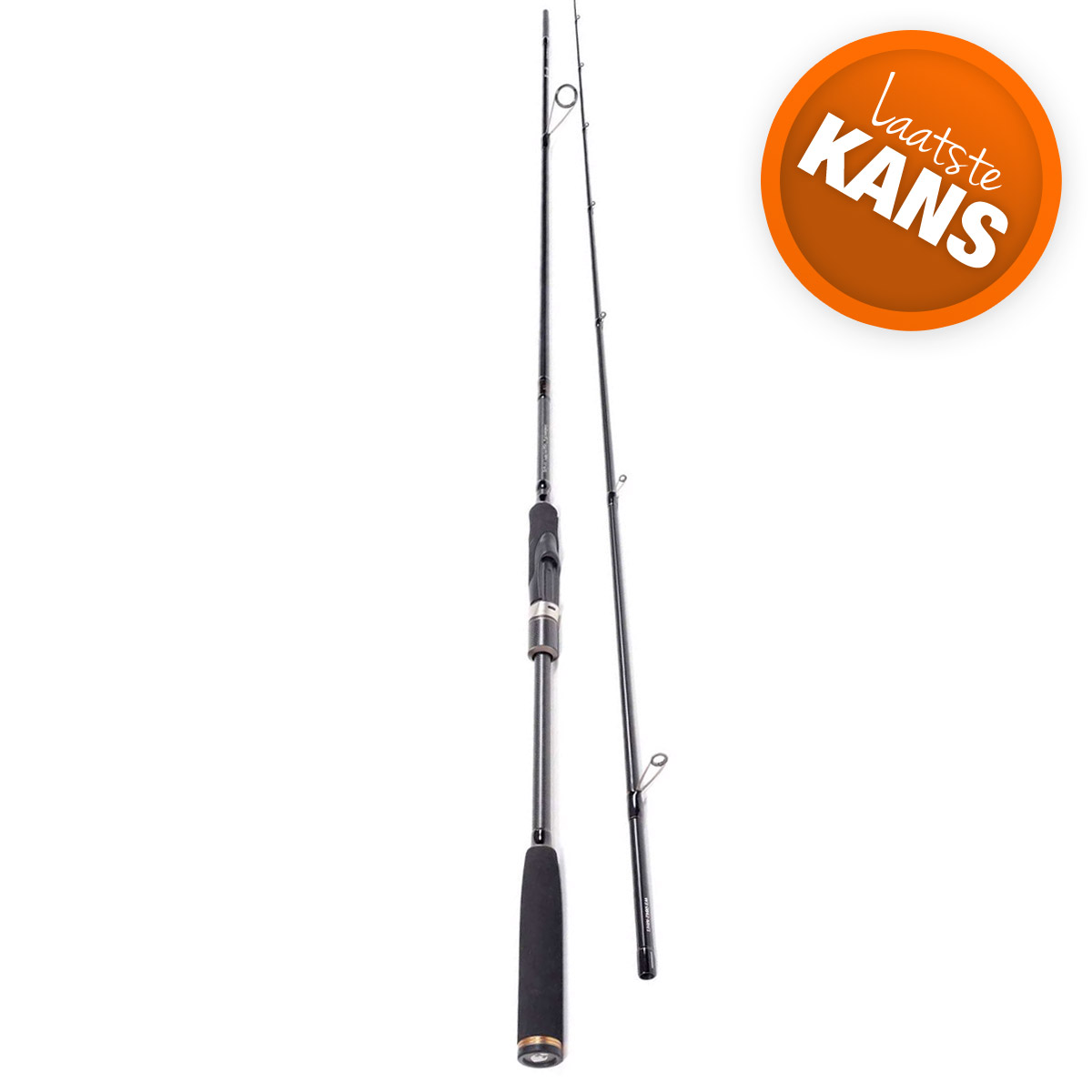 Westin W3 Seabass 2ND 2,73M MH 12-42 Gram