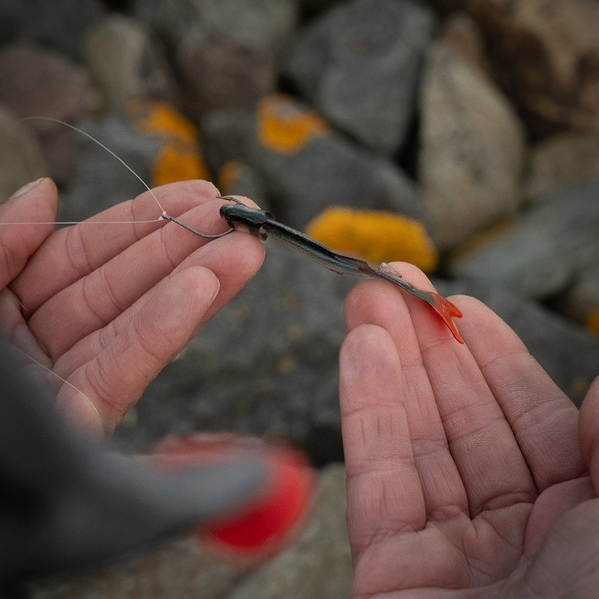 Fox Rage Ultra Natural Fillets 6 CM