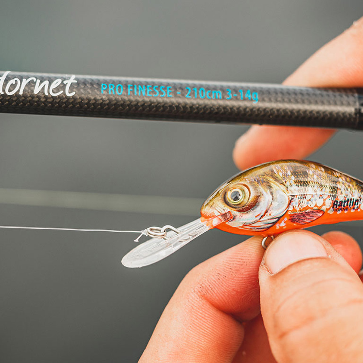 Canne Salmo Hornet Pro Finesse