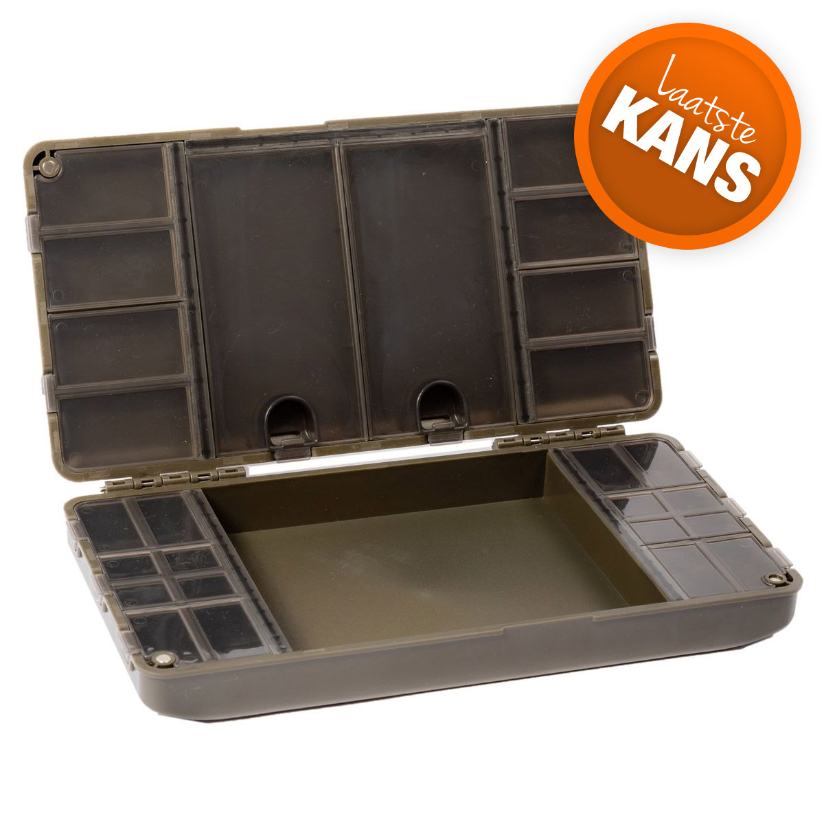 Lion Treasure Safe Box 