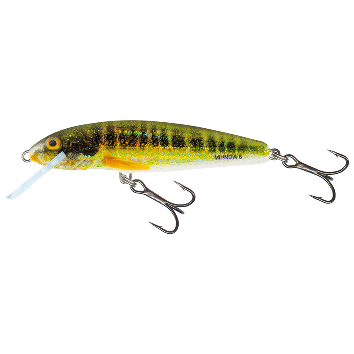 Salmo Minnow Floating 6 CM 