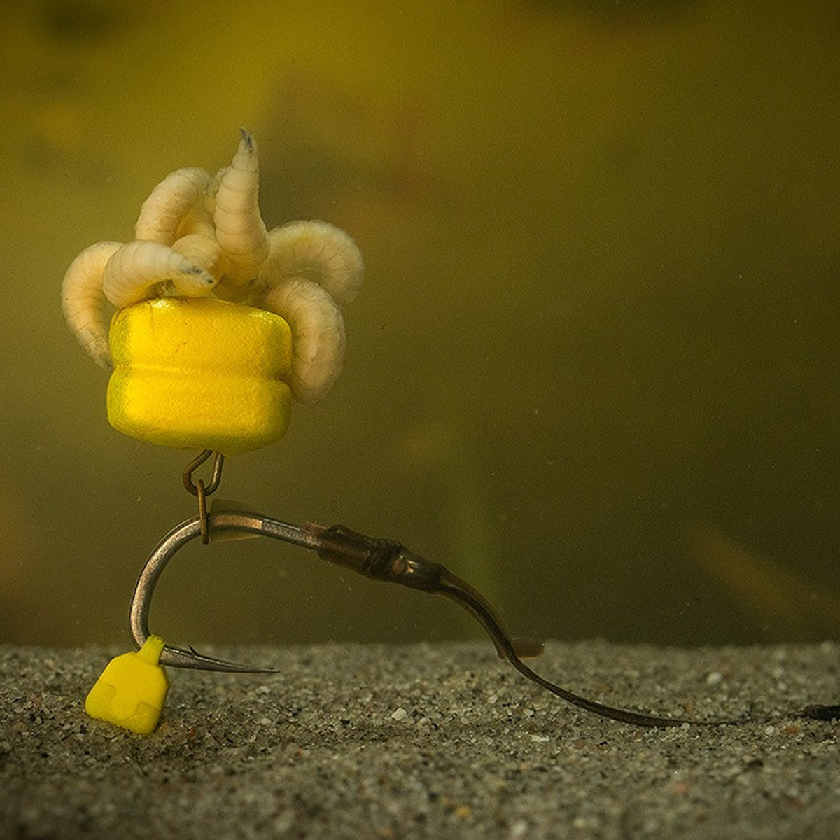 Pole Position Tungsta Corn Shot