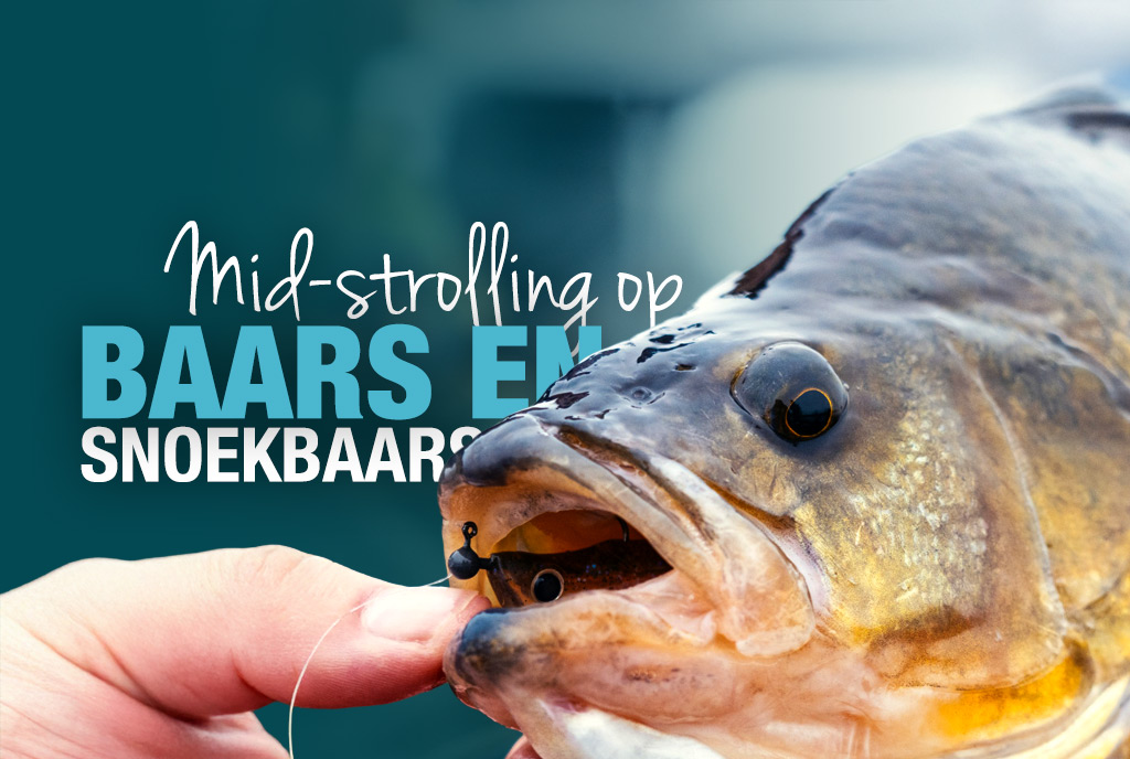 Mid-strolling op baars en snoekbaars