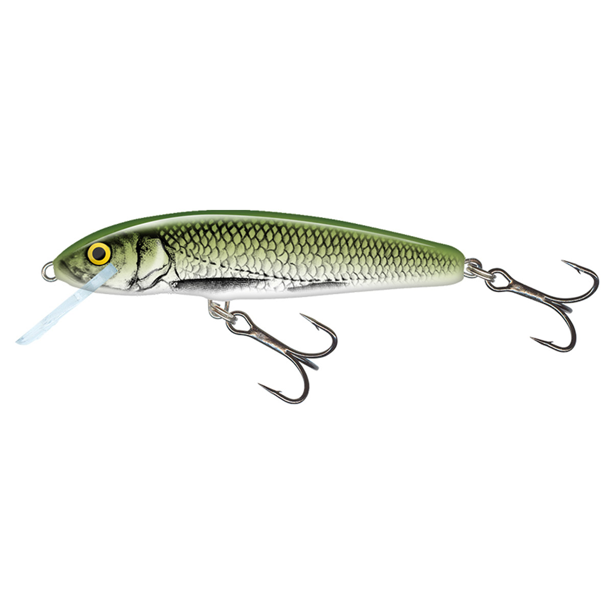 Salmo Minnow Floating 6 CM 