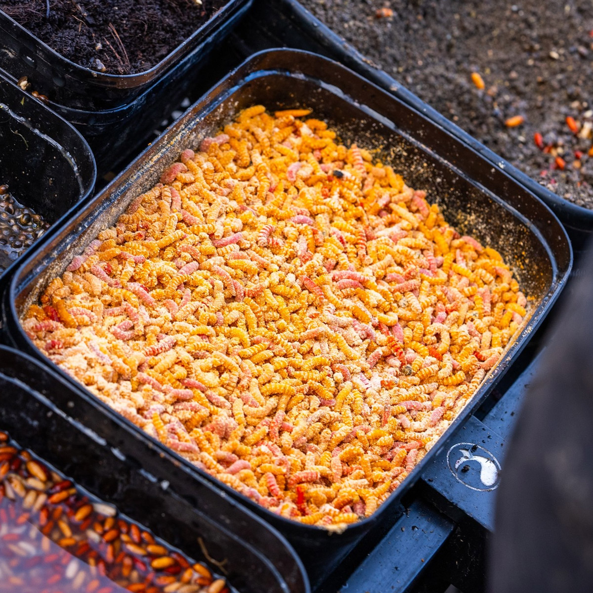 Guru Bait Box 1,25 ltr