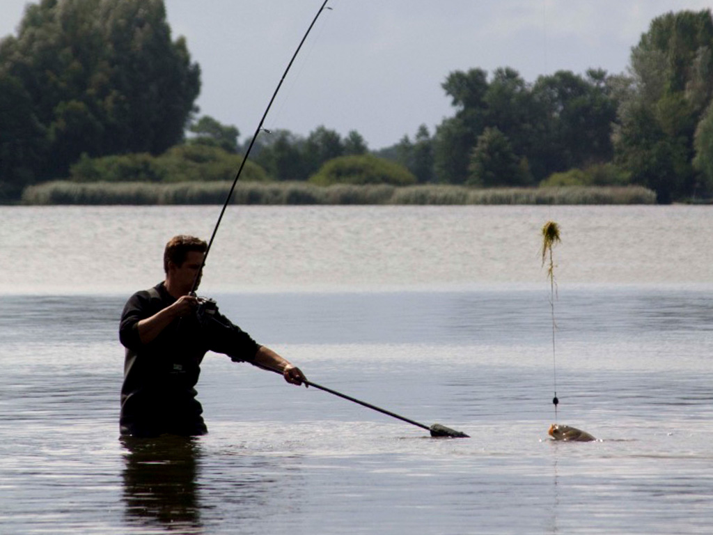Karpervissen met boilies