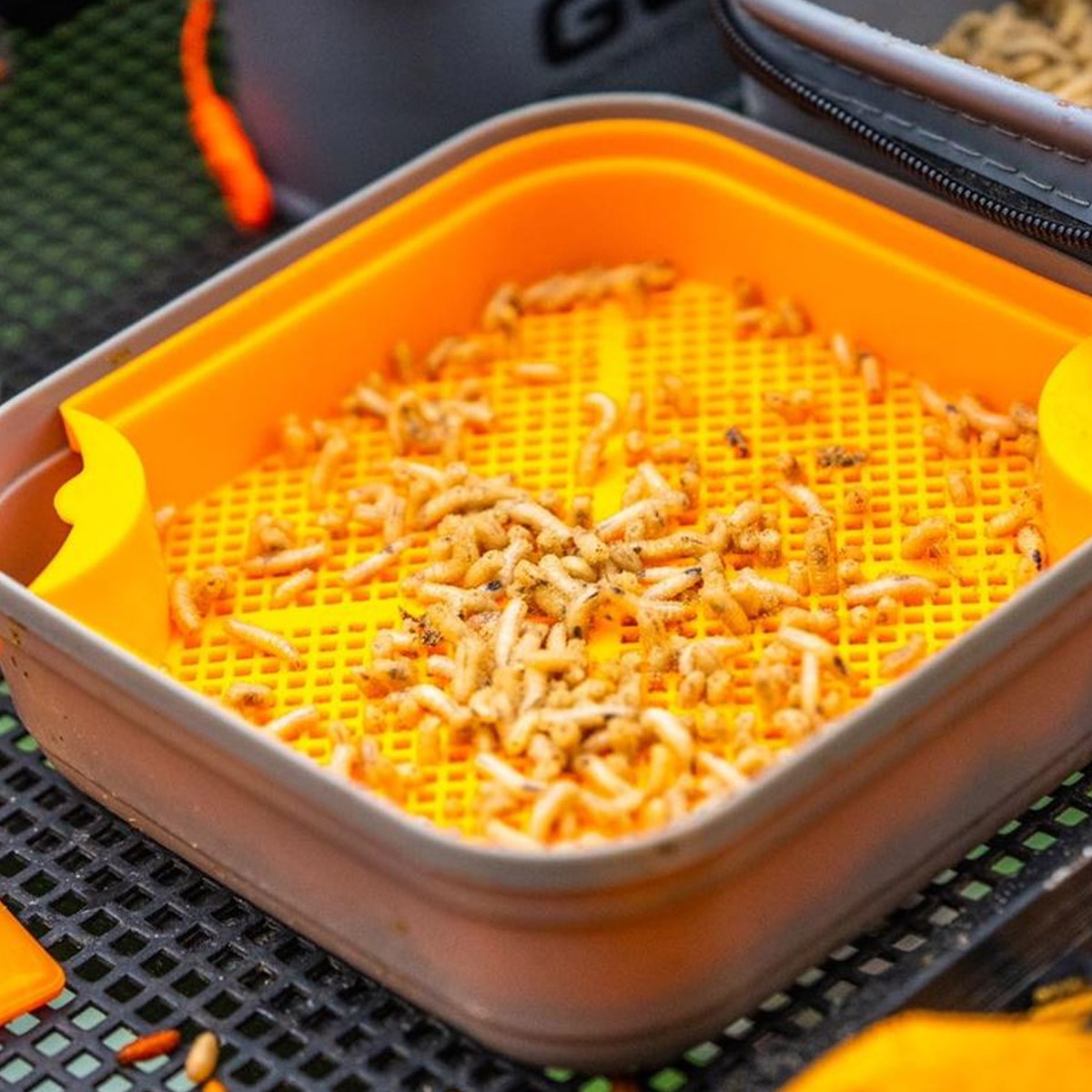 Guru Maggot Riddle Orange