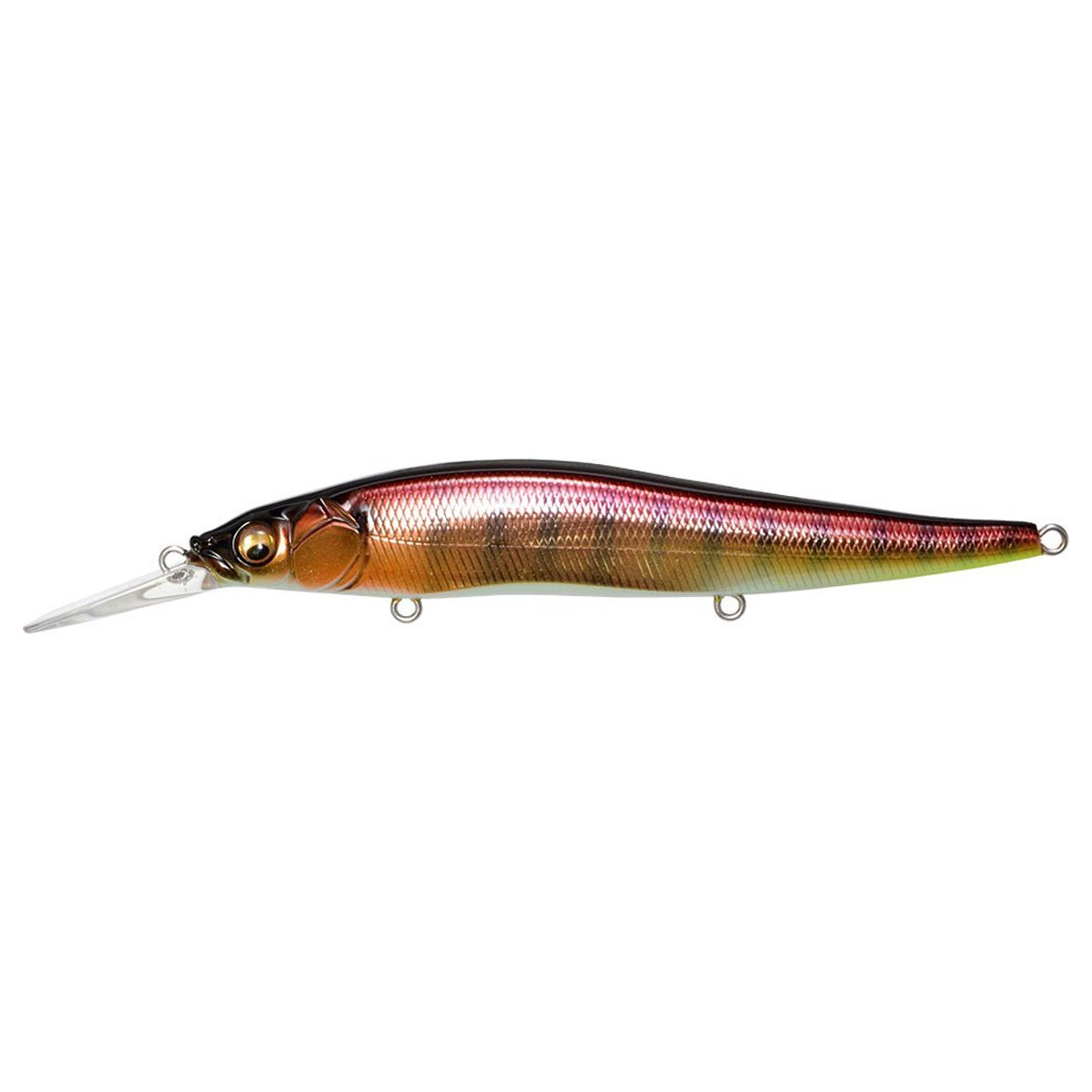 Megabass Vision Oneten +1 Couleurs exclusives