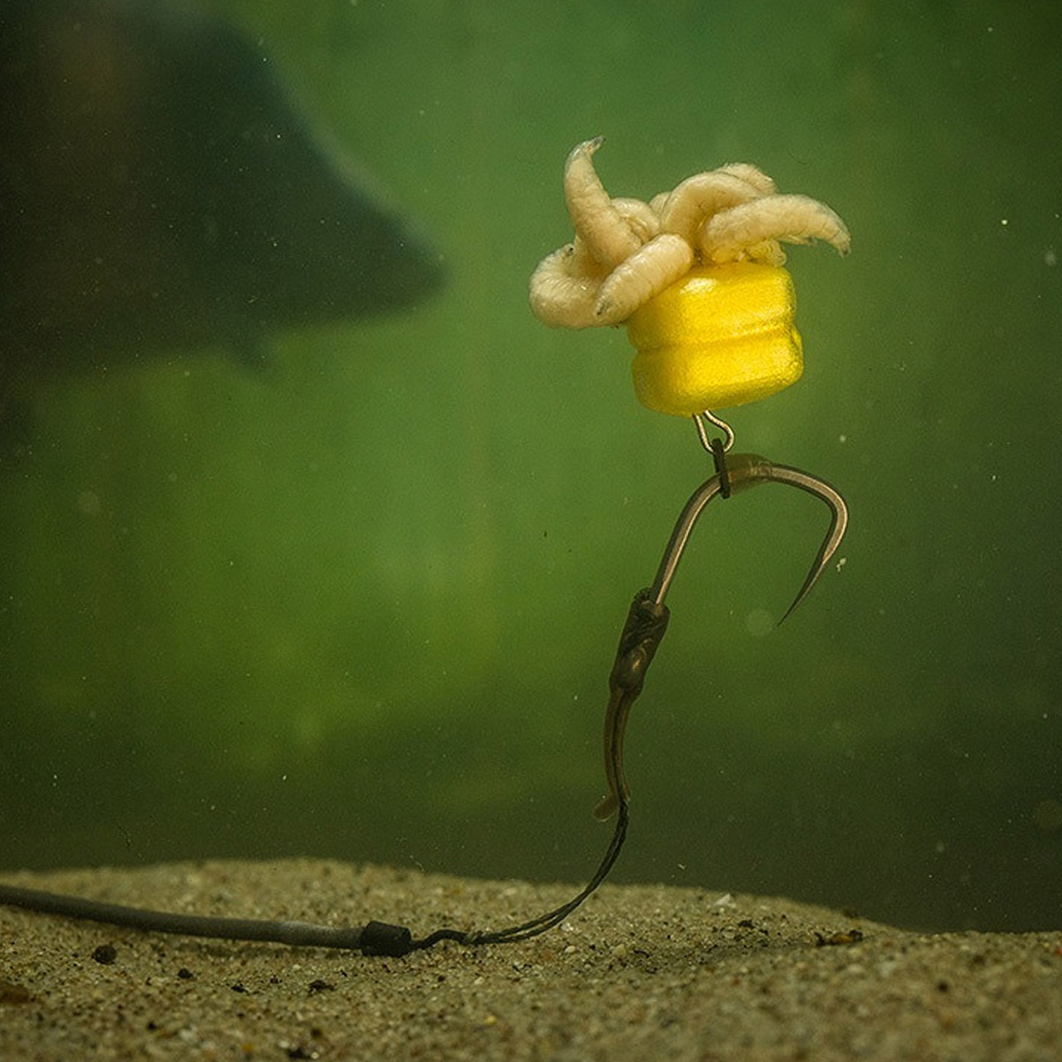 Pole Position Corn Maggot Clip Double