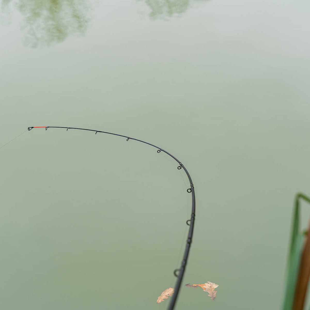 Korum Limitless Feeder 4,20M 220 Gram