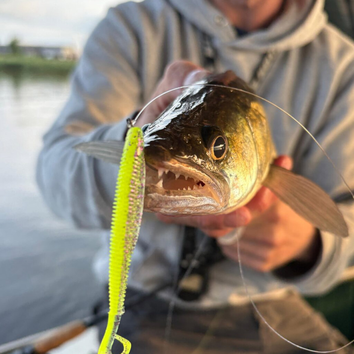 Zeck Barsch Alarm Dropshot Nose Hook