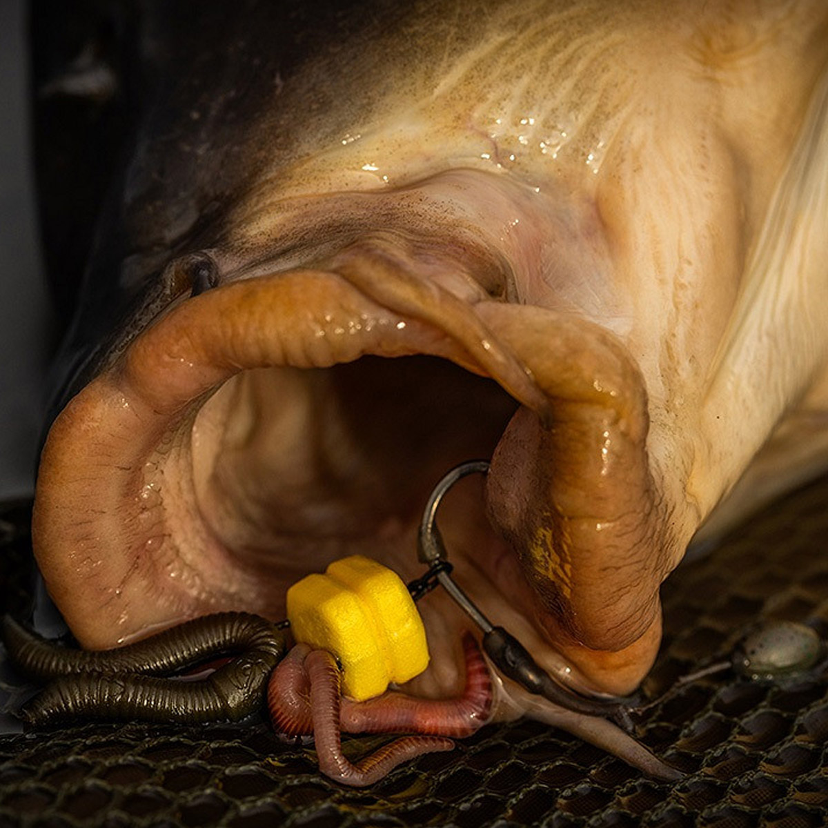 Pole Position Corn Maggot Clip Double