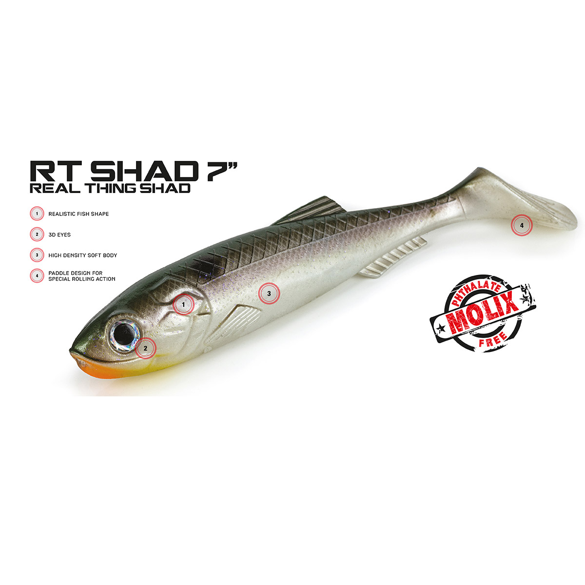 Molix RT Shad 7 inch 