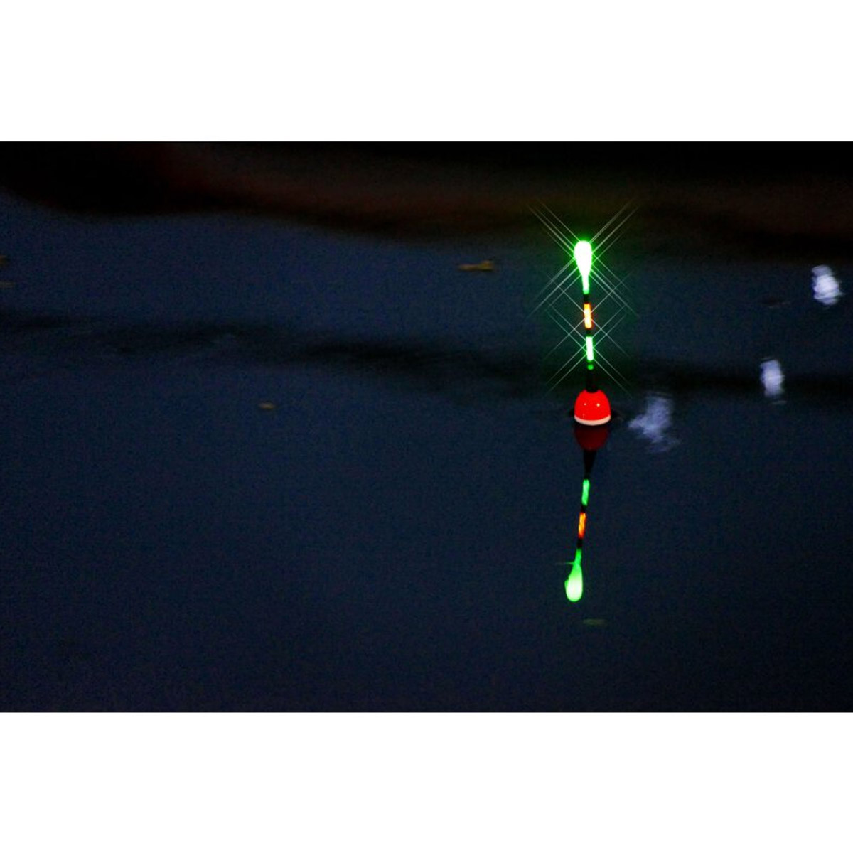 Balzer Elektro Waggler