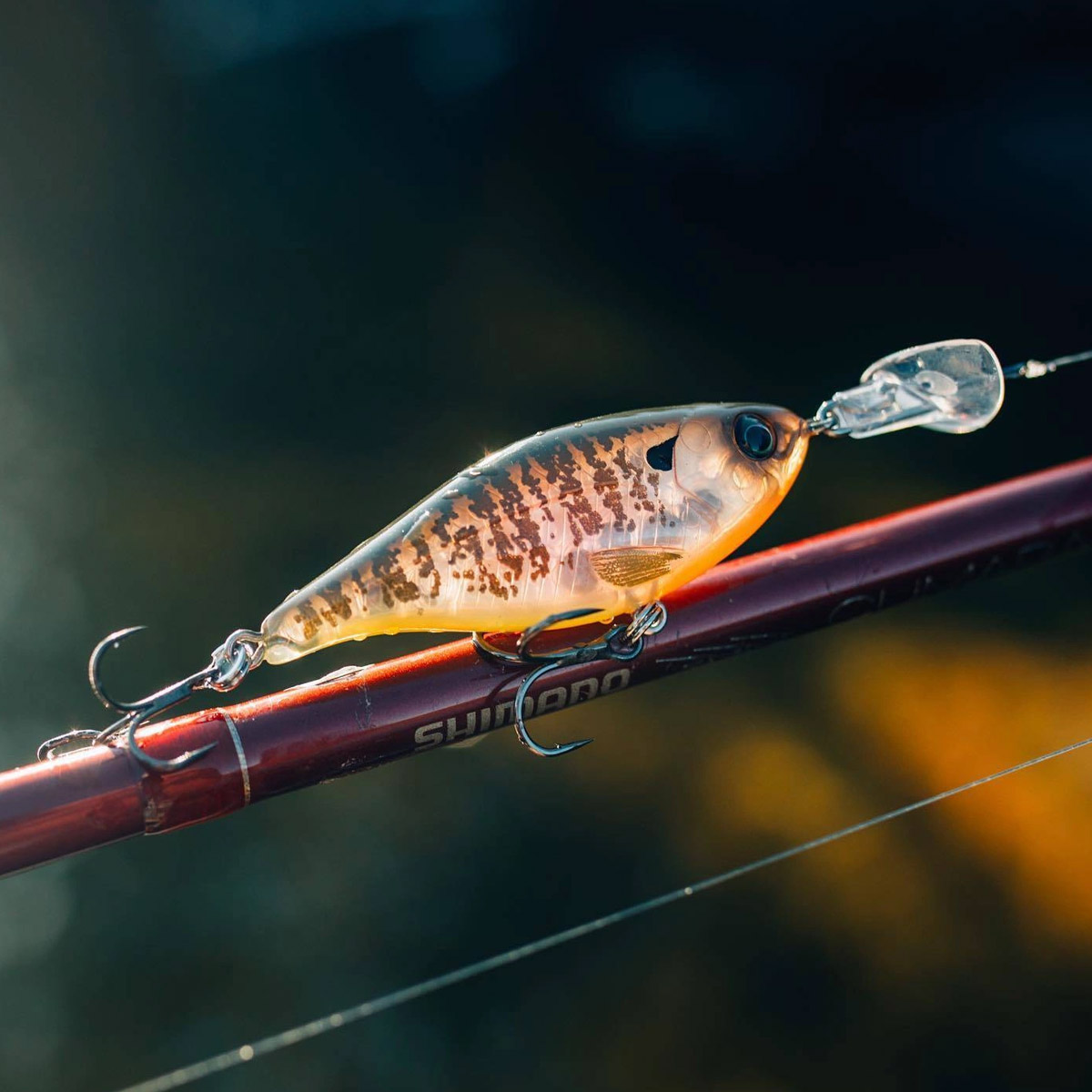 Headbanger Cranky Shad 7,6 CM 