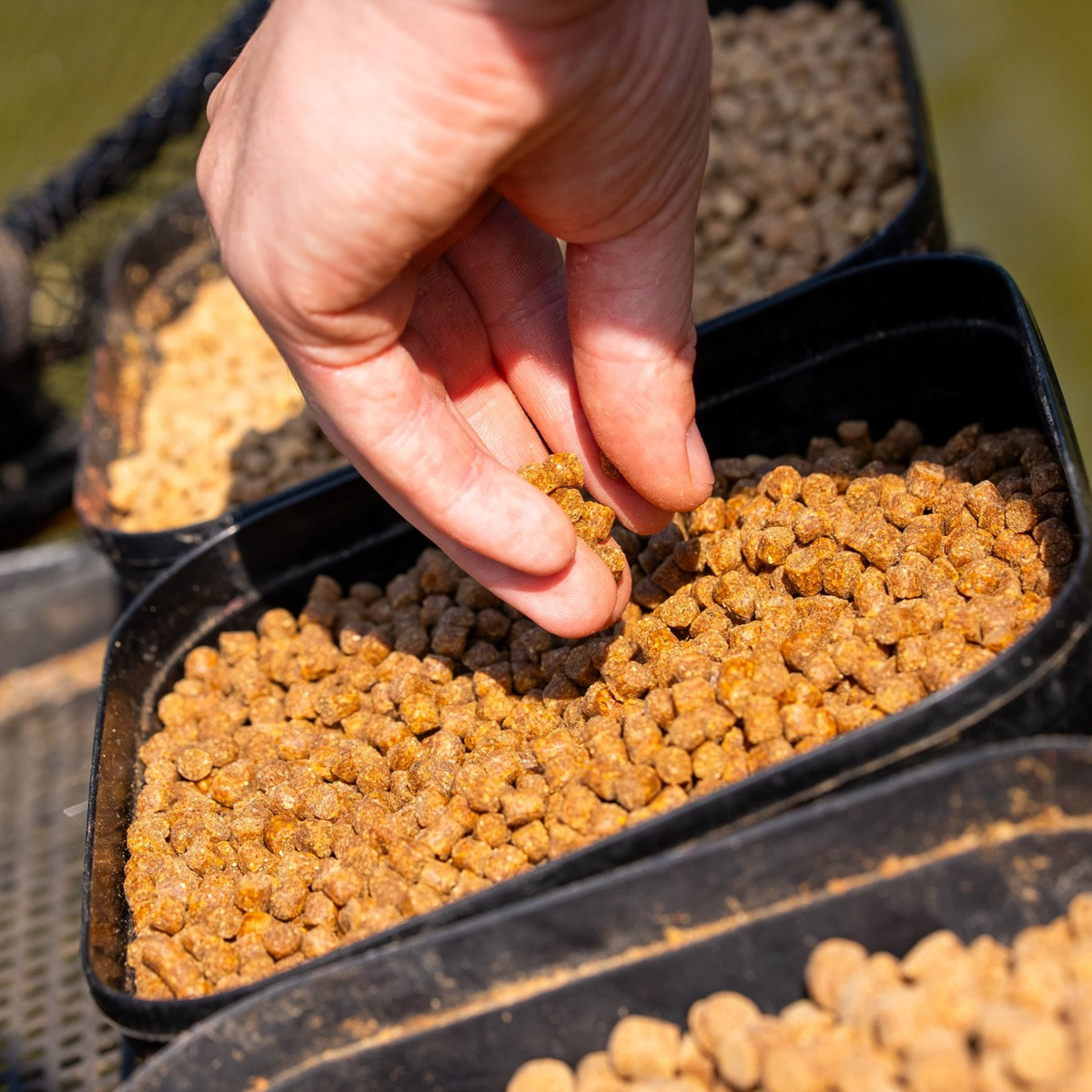 Mainline Match SK8 Pellets 1 KG 8MM 