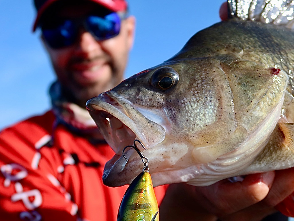 Het vissen met crankbaits is leuk.