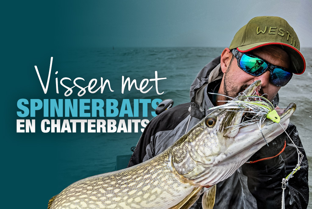 Vissen met met Chatter- en Spinnerbaits