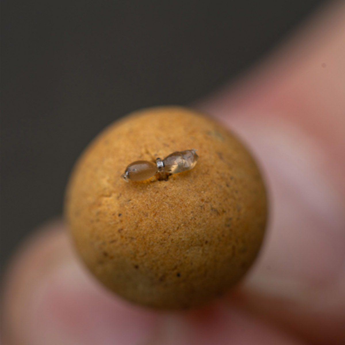 Korum Smokescreen Hair Stops