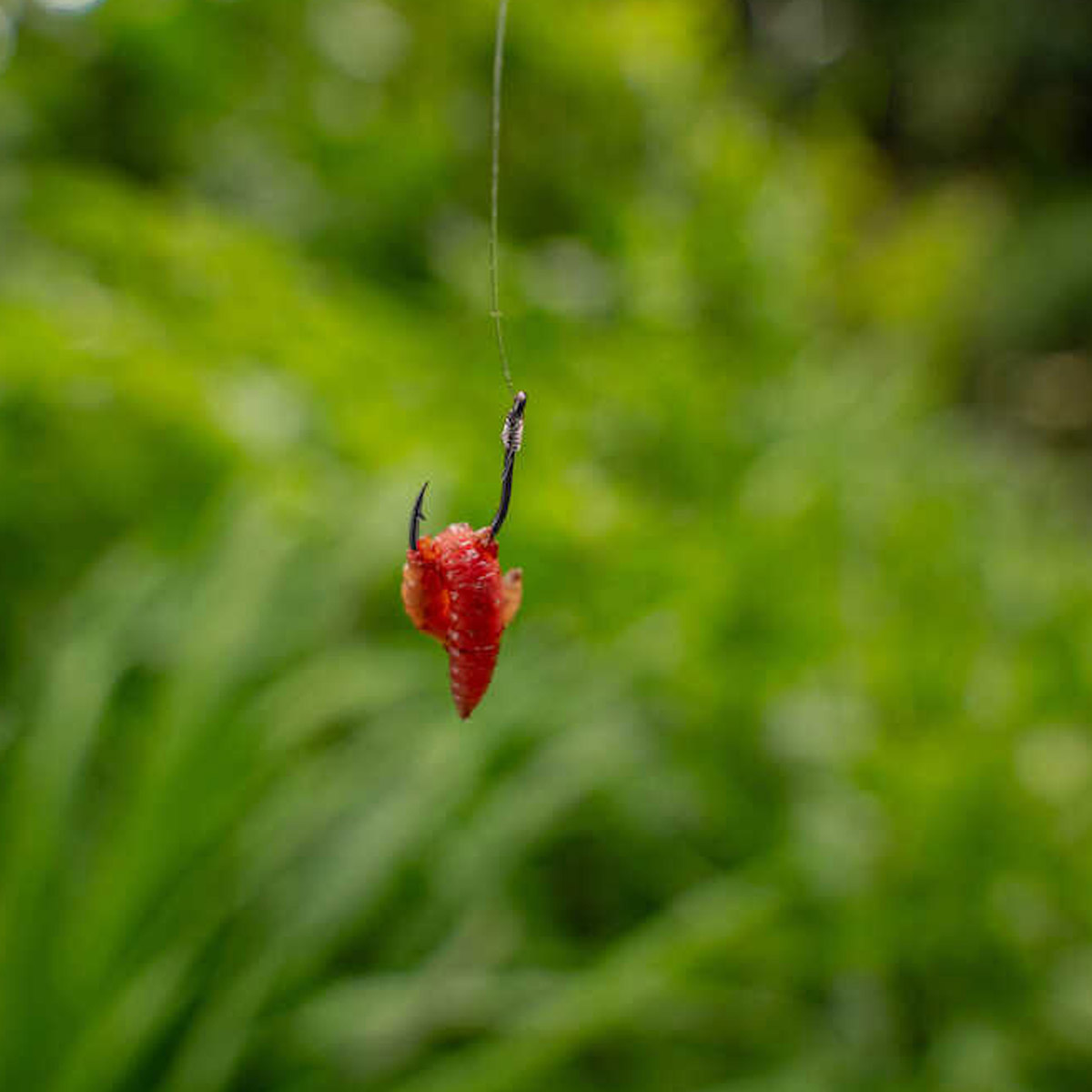 Korum Xpert Maggot Barbed