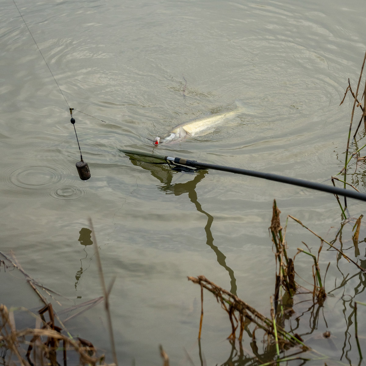 Korum Limitless Power Handle Tele - 3 Meter 