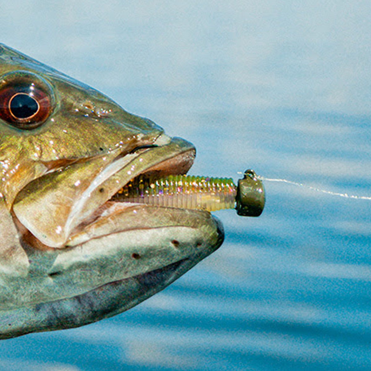 Northland Tackle Nedster 8,75 Gram