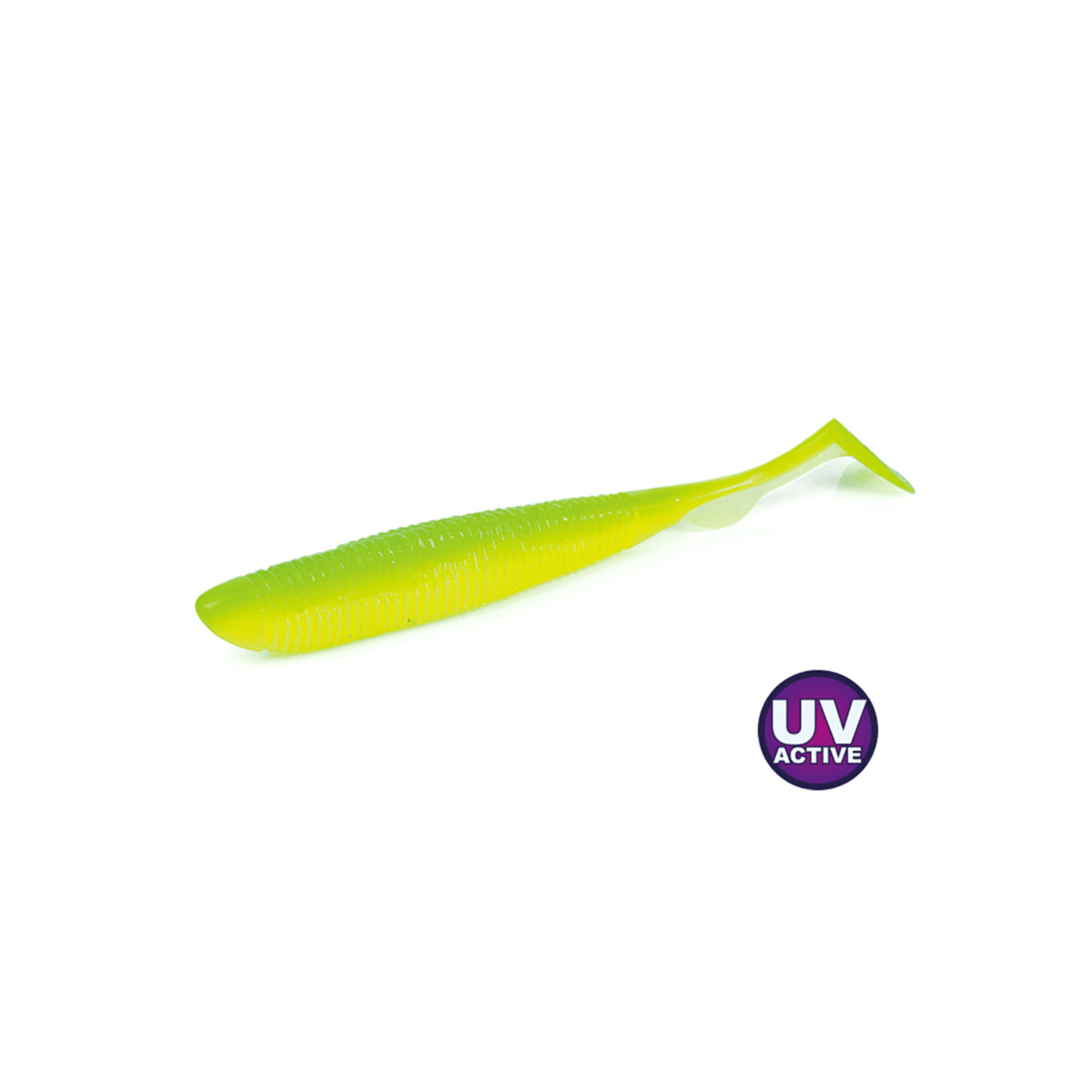 Molix RA Shad 3 inch