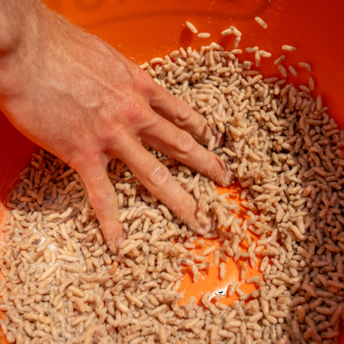 Sonubaits Maggot Glue