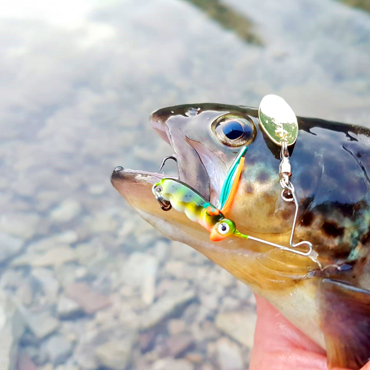 Spro Larva Micro Spinnerbait Single Hook