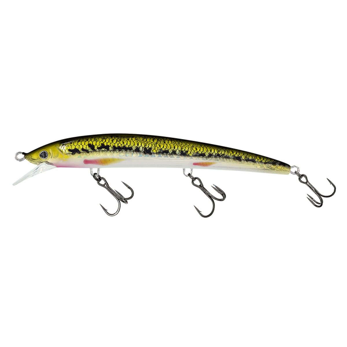 Molix Finder Jerk 110 Slow Sinking