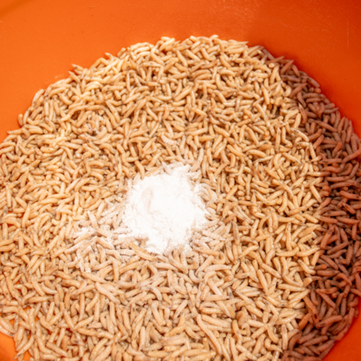 Sonubaits Maggot Glue