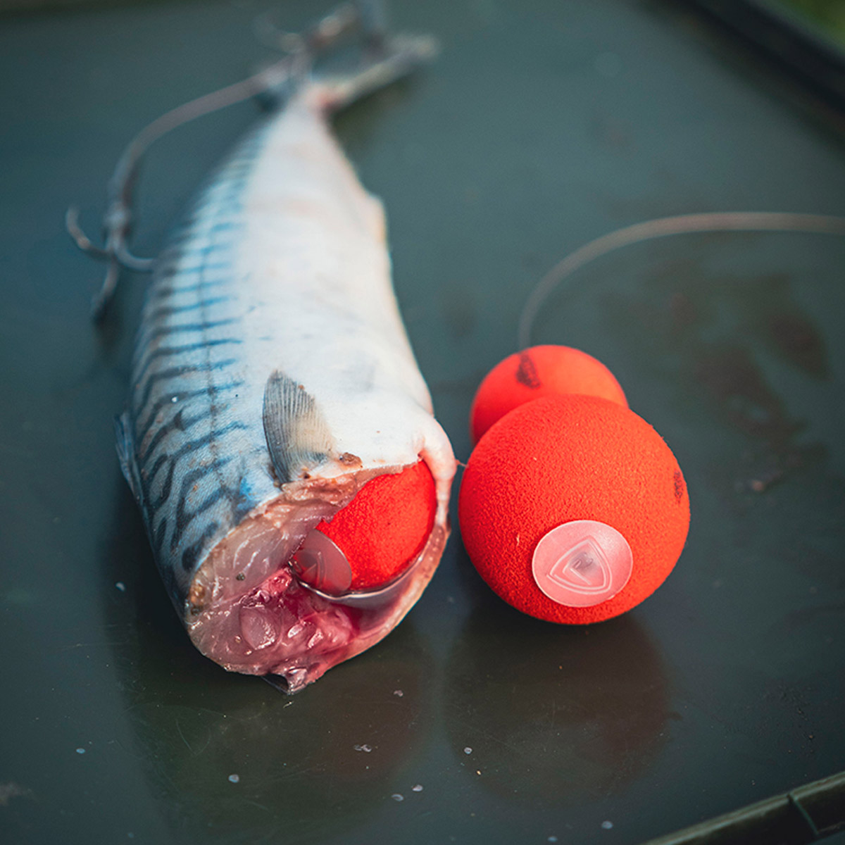 Fox Rage Predator Pop-Up Caps