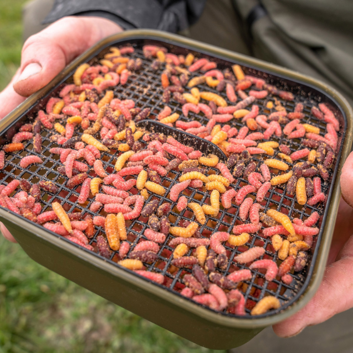 Korum Maggot Tub And Riddle