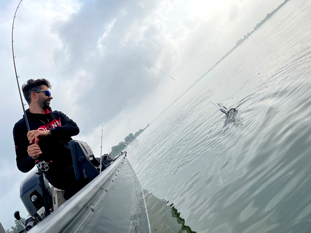 Vissen op snoek met spinnerbaits en chatterbaits