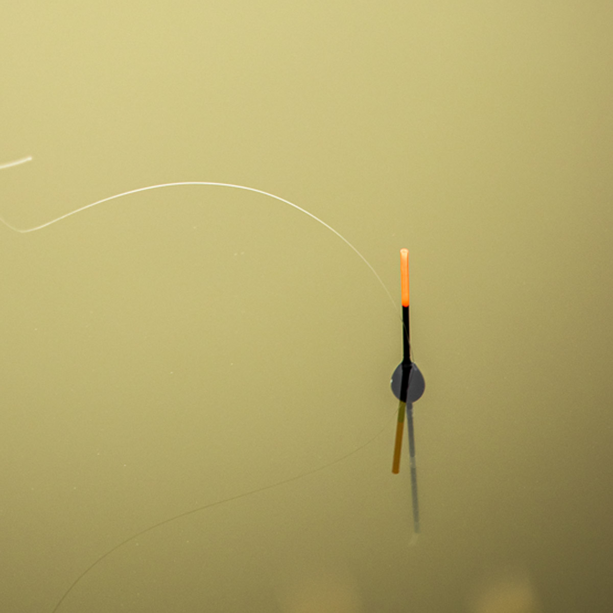 Flotteur Olive Pole de Preston Innovations