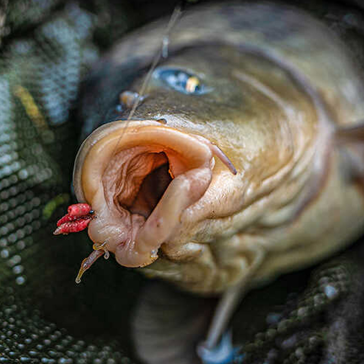 Korum Grappler Hook Barbed