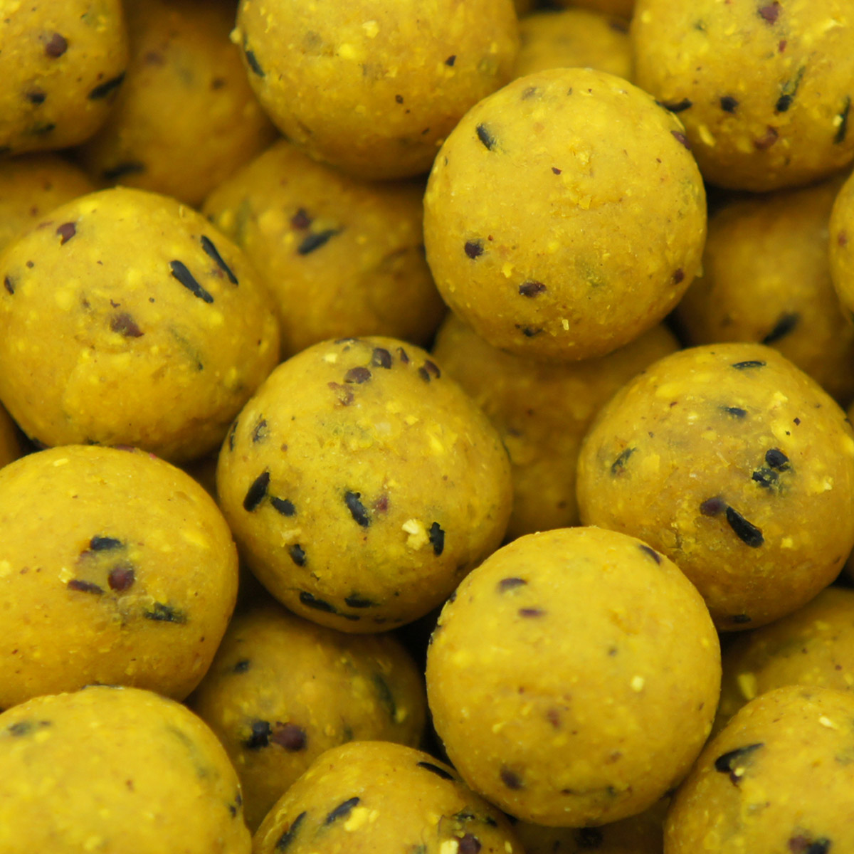 Martin SB Boilies 1 kg 20 mm Scopex