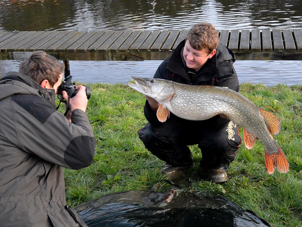 Grote snoeken op de foto zetten