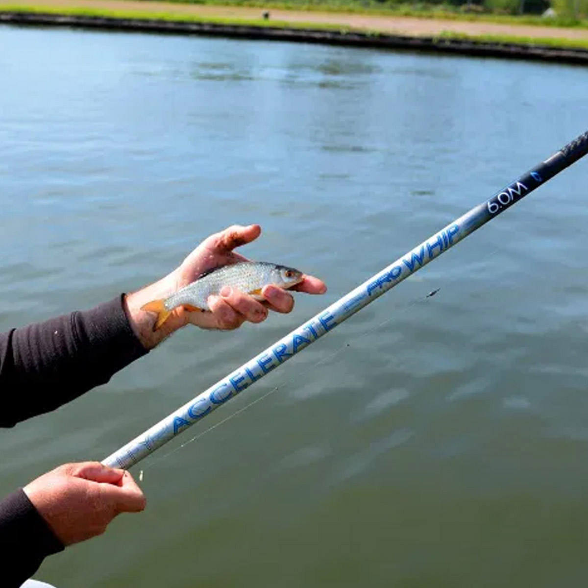 Spro Cresta Identity Accelerate Whip