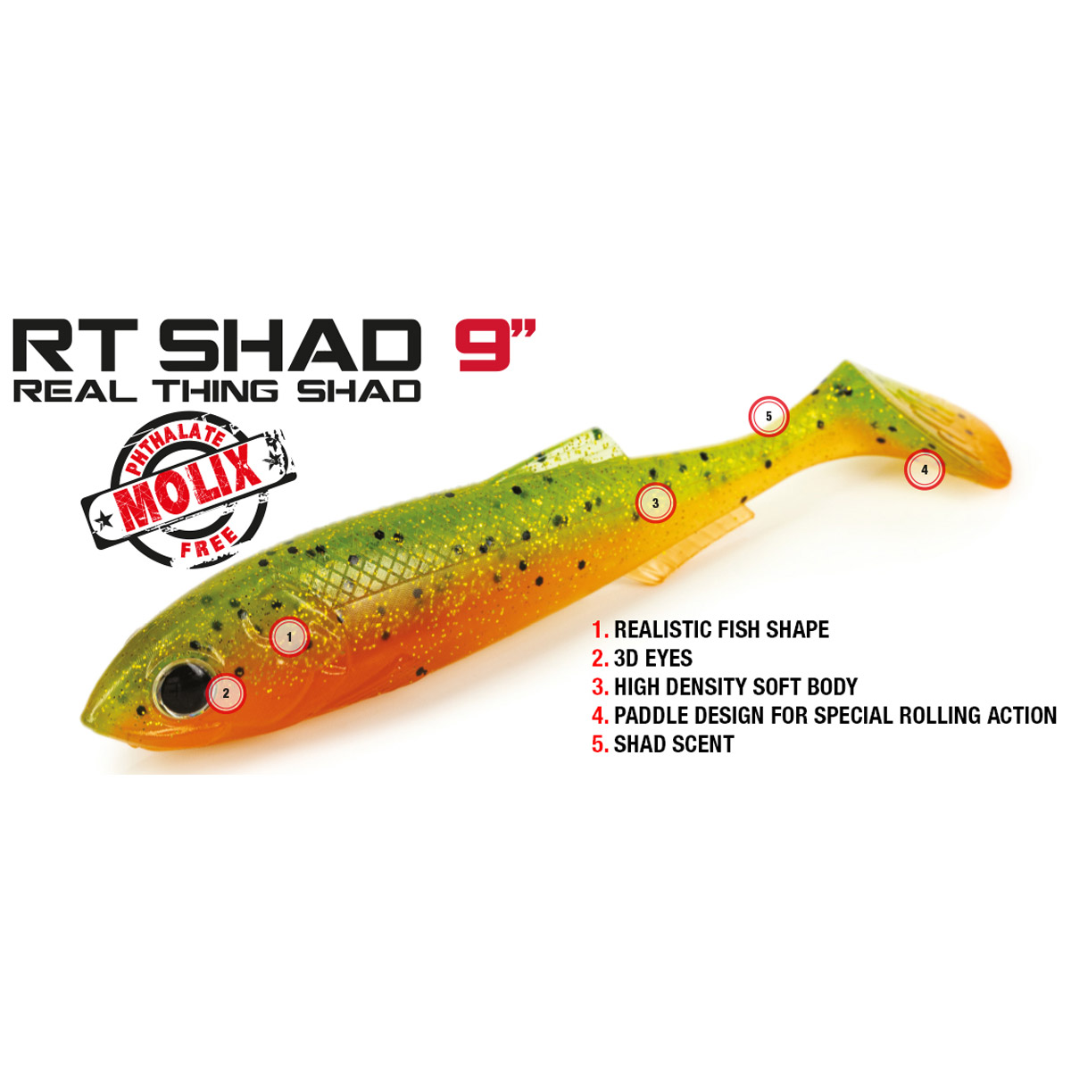 Molix RT Shad 9 inch 