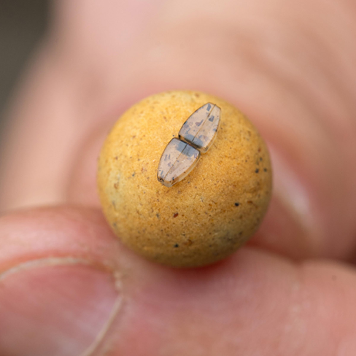 Korum Smokescreen Pellet Stops