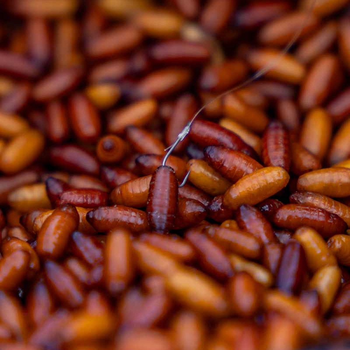 Matrix X4 Commercial Silvers Hooks - Barbless Spade 