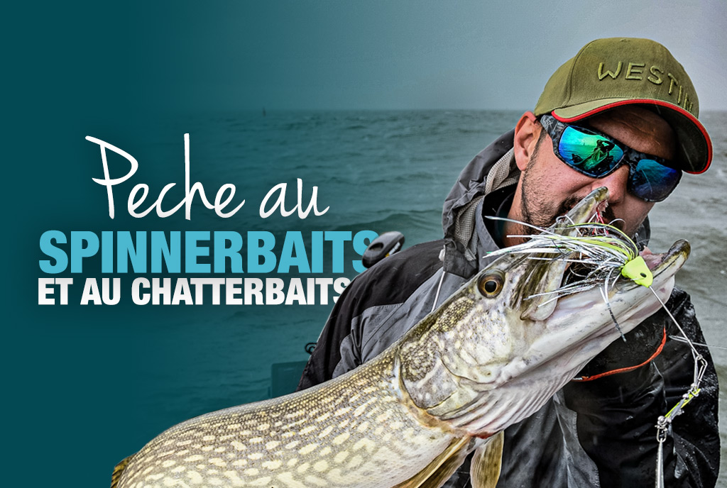 Pêche au Chatter et au Spinnerbait