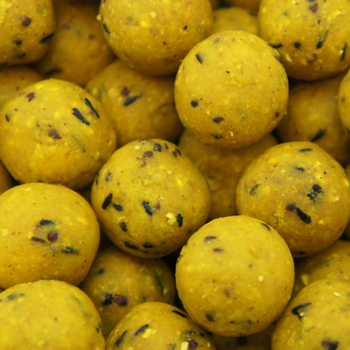 Martin SB Boilies 1 kg 15 mm Scopex