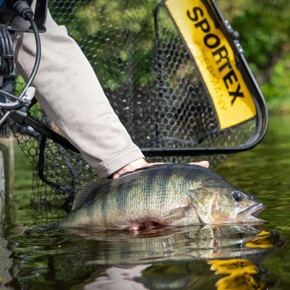 Sportex Predator Landing Net 80x70 CM