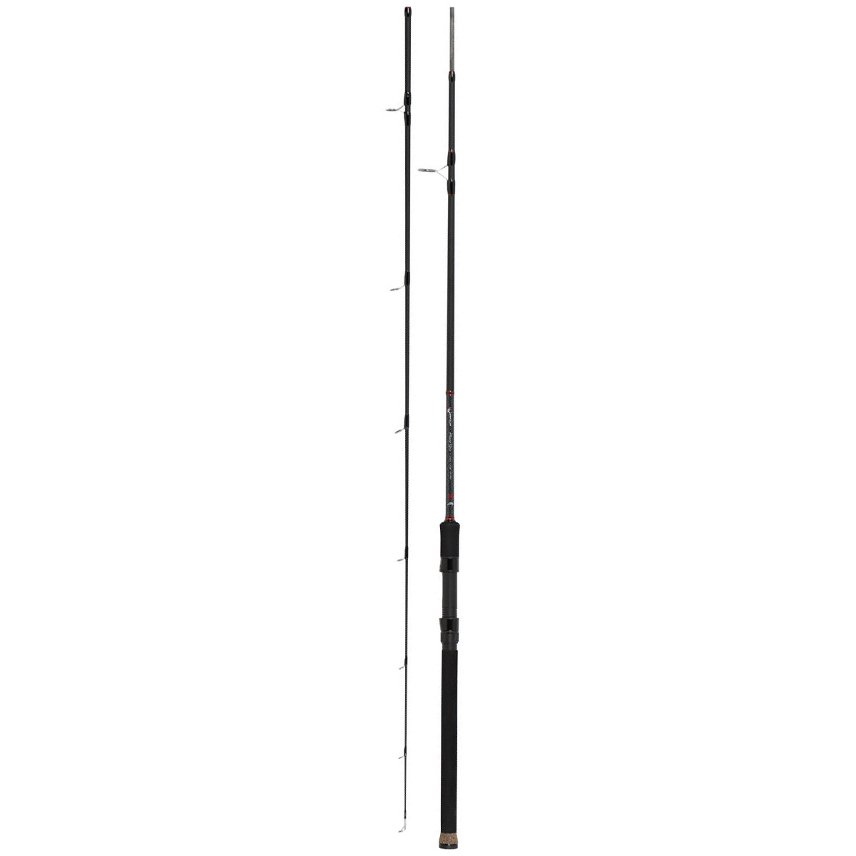 Fox Rage Warrior Heavy Spin Rod 2,40M 40-80 Gram