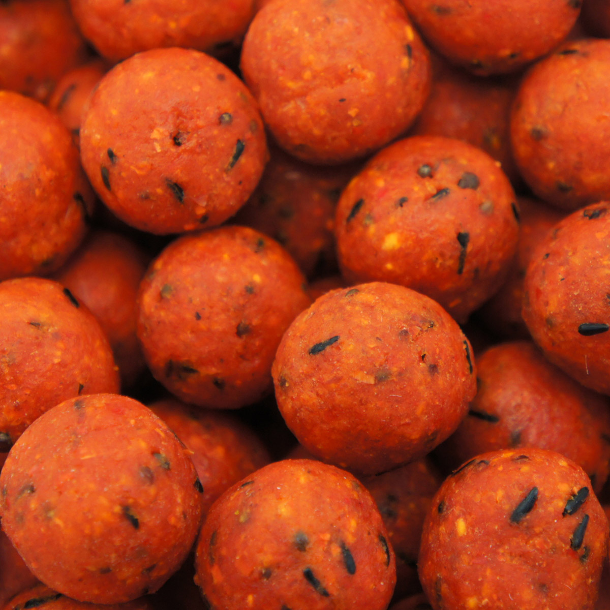 Martin SB Boilies 1 kg 20 mm Roasted Nut